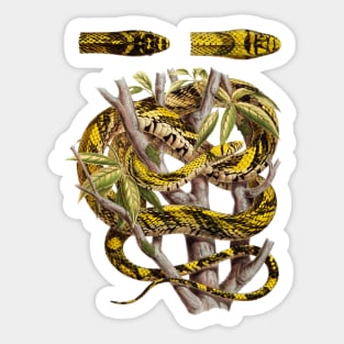 Vintage Snake ilustration Sticker